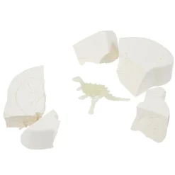 Kit excavation dinosaure