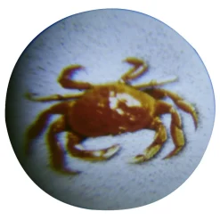 Lampe torche projecteur pour enfant