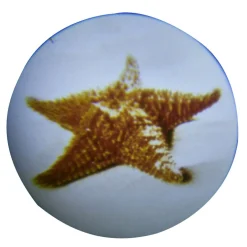 Lampe torche projecteur pour enfant