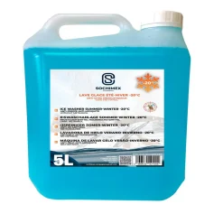 Lave glace hiver -20°C 5L