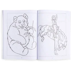 Livre de de coloriage 56 pages