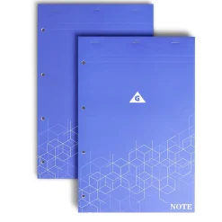 Lot de 2 bloc-notes perforés à petits carreaux A4 - 160 pages