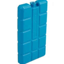 Lot de 2 blocs réfrigérants