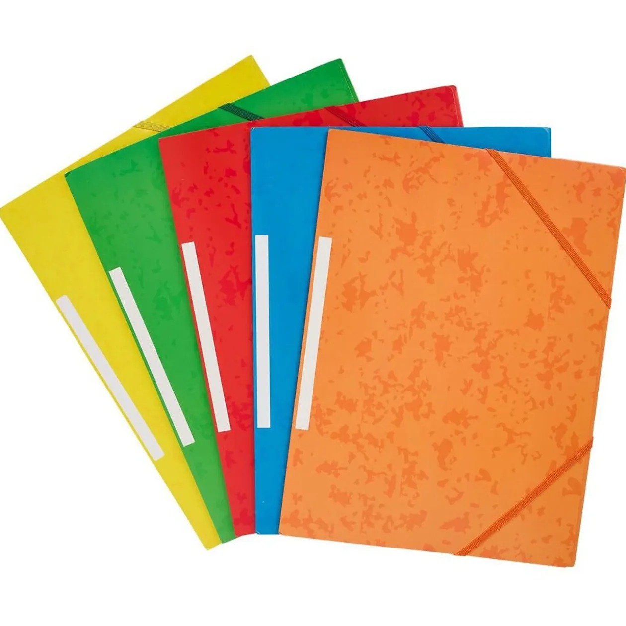 Lot de 5 chemises en carton à élastiques 24x32cm