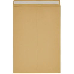 Lot de 25 enveloppes kraft avec bande auto-adhésive 22,9x32,4cm