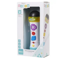 Microphone musical enregistreur