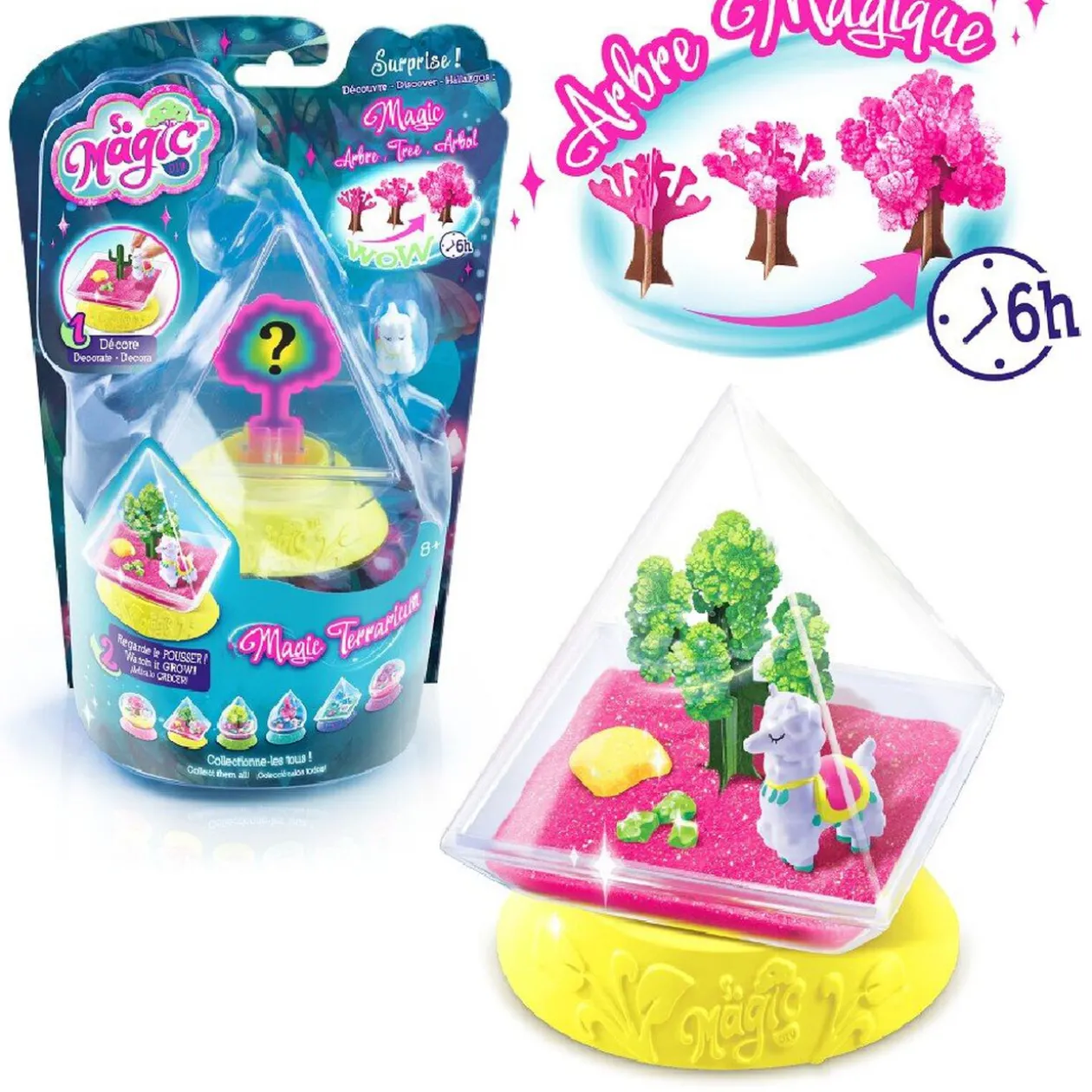 Mini terrarium So Magic