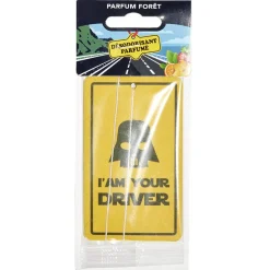 Parfum d'ambiance pour voiture senteur forêt