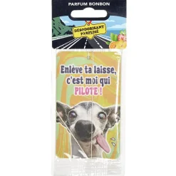 Parfum d'ambiance pour voiture senteur bonbon