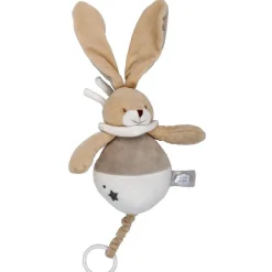 Peluche lapin musical manuel un rêve de bébé