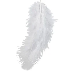 Plume blanche x10