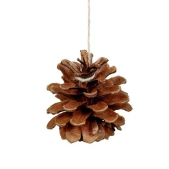 Pomme de pin naturelle pour couronne x4