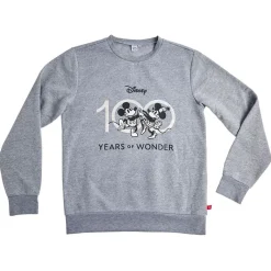 Pull Disney 100 ans de merveilles - Taille M