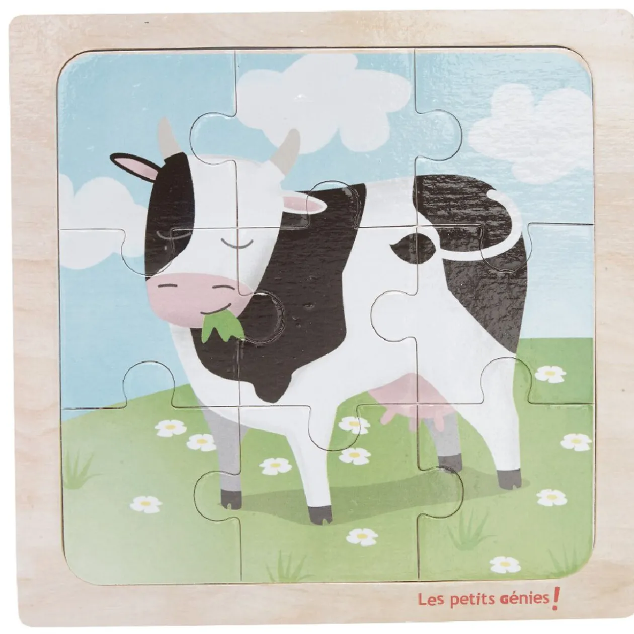 Puzzle bois 9 pcs, 6 modèles