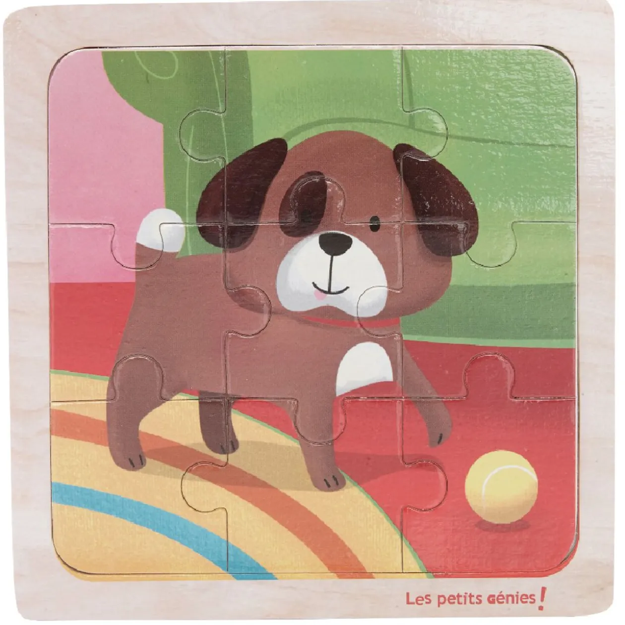 Puzzle bois 9 pcs, 6 modèles