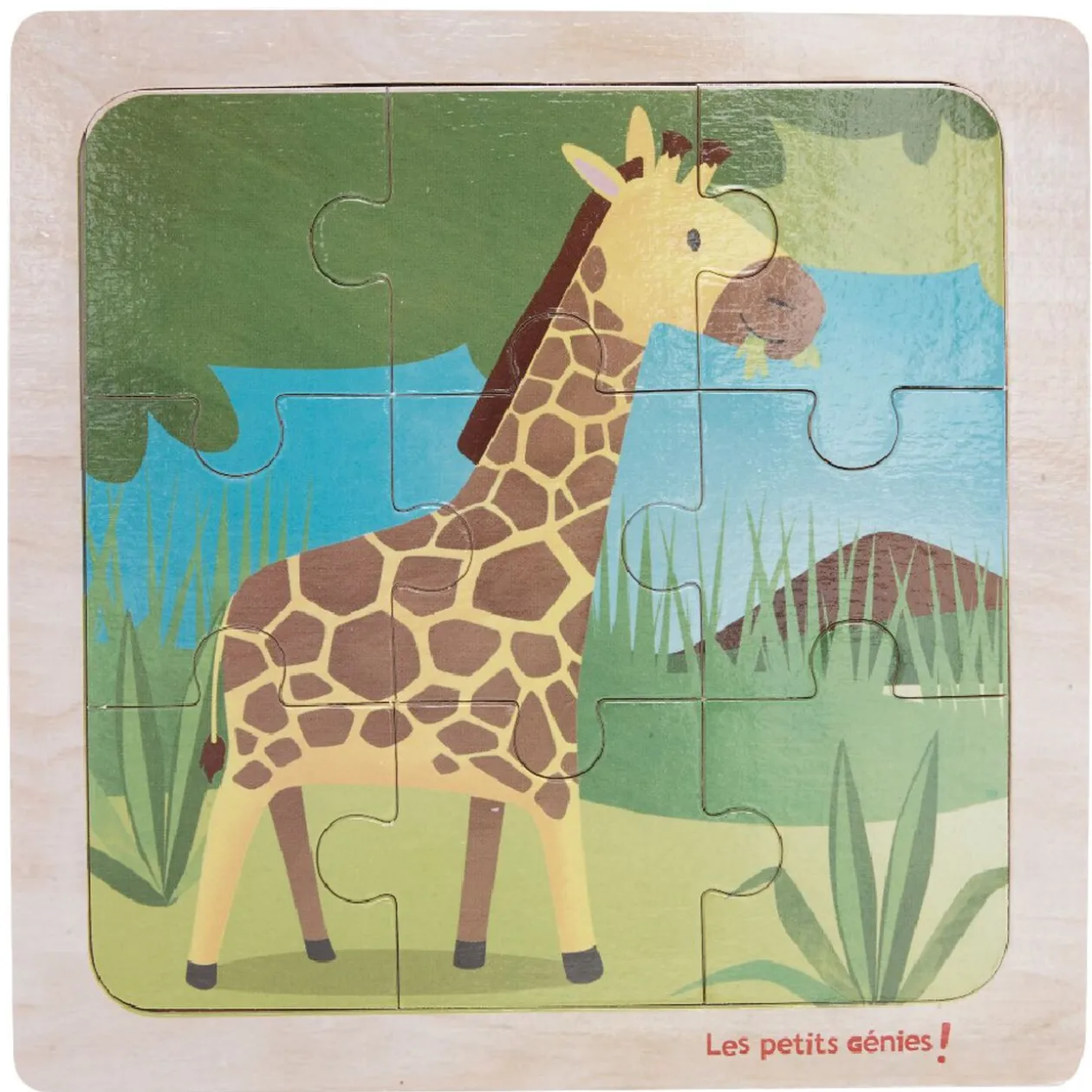 Puzzle bois 9 pcs, 6 modèles