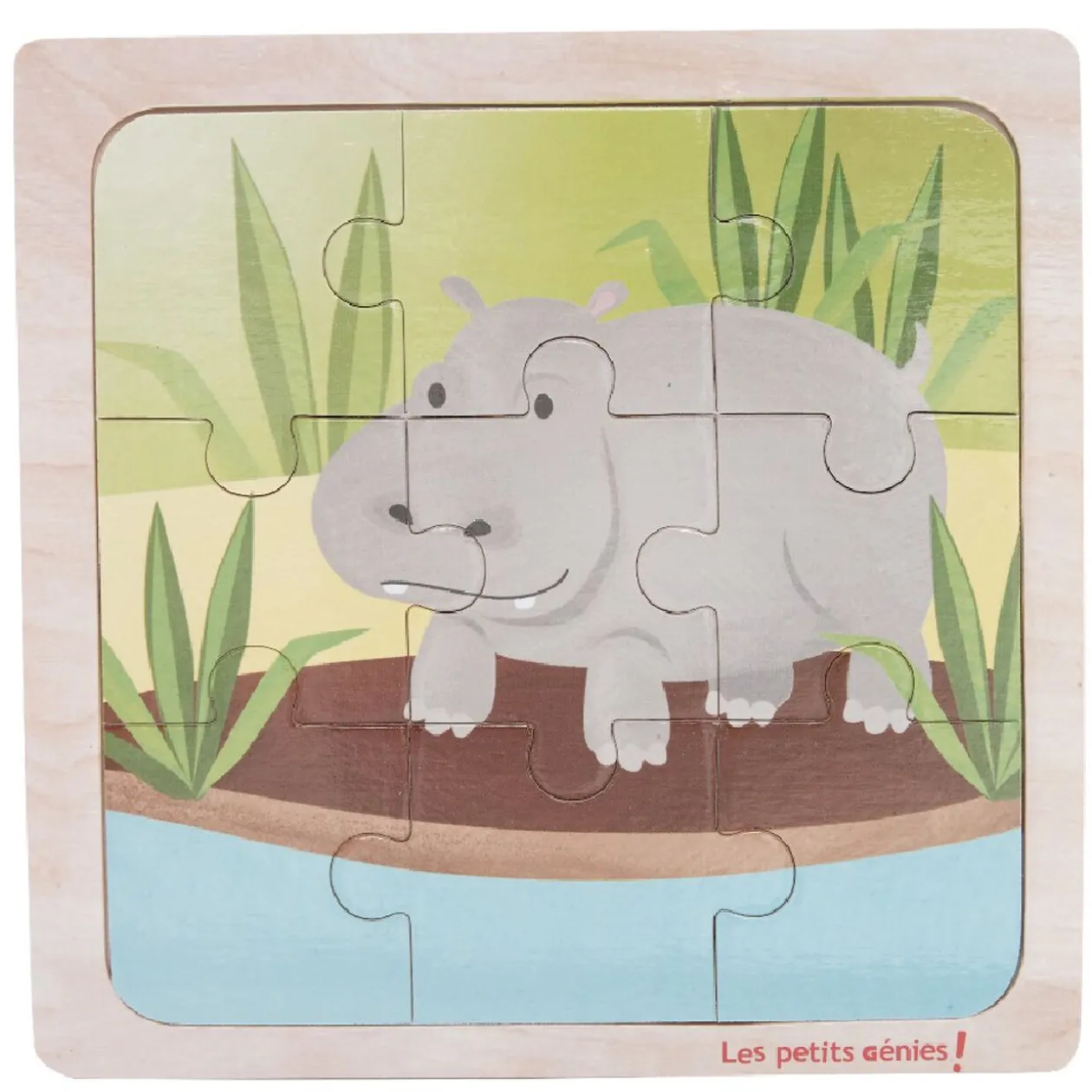 Puzzle bois 9 pcs, 6 modèles