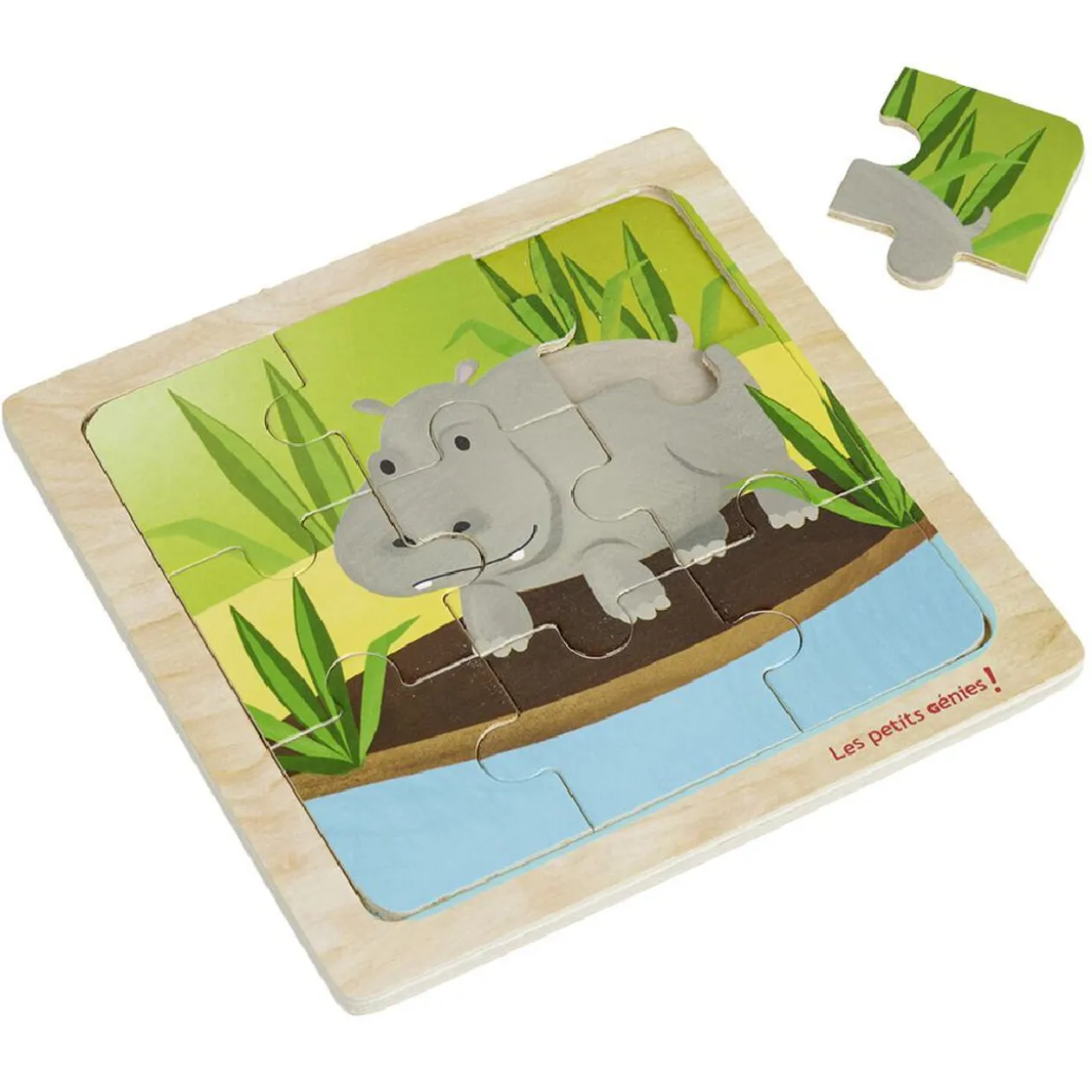 Puzzle en bois 9 pièces