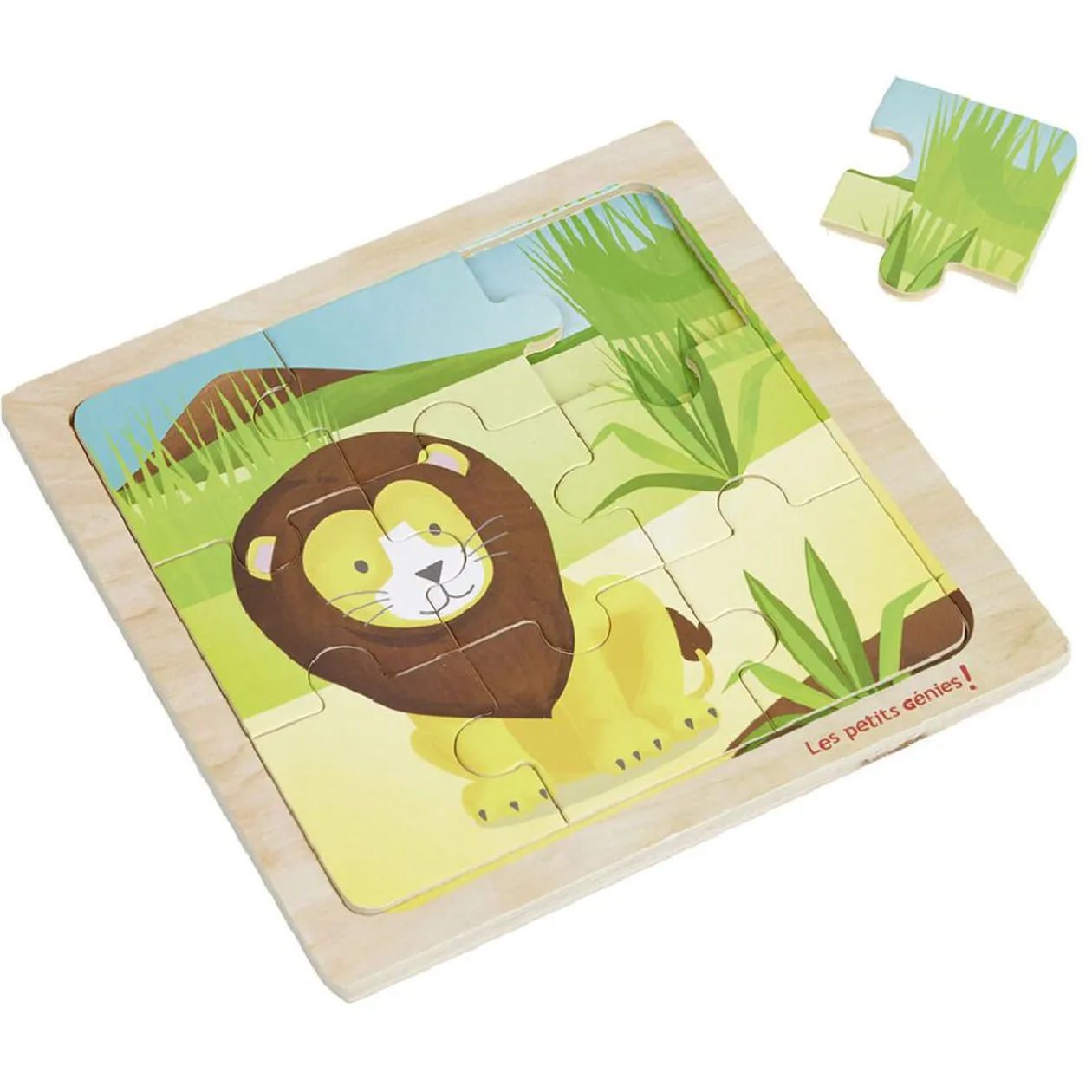 Puzzle en bois 9 pièces