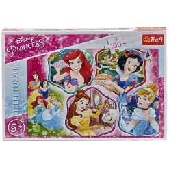 Puzzle licence 100 pièces