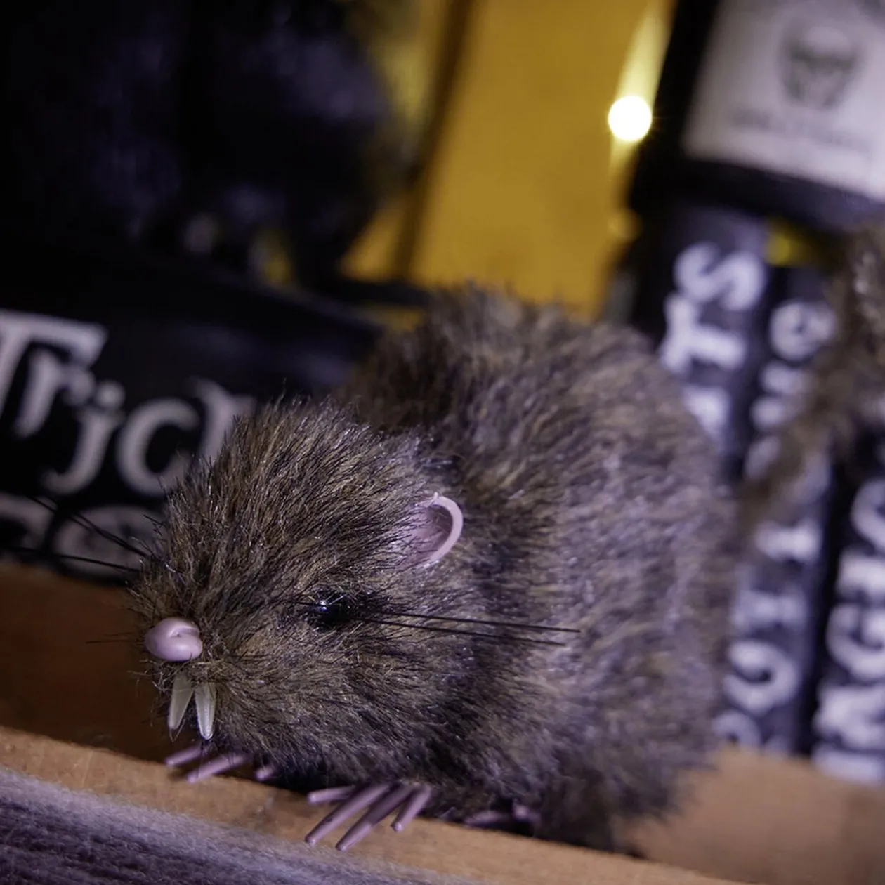 Rat noir ou marron décoration Halloween