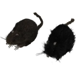 Rat noir ou marron décoration Halloween