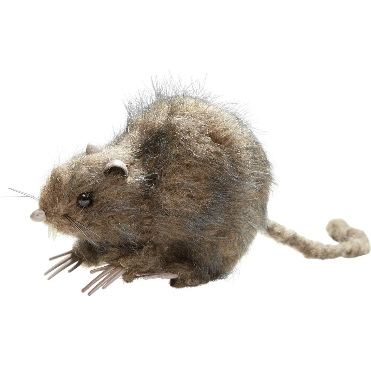 Rat noir ou marron décoration Halloween