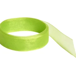 Ruban vert anis 20 m