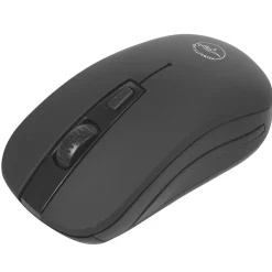 Souris optique sans fil noir