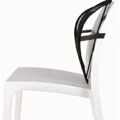 Support lombaire universel