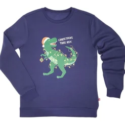 Sweat de Noël homme Christmas Tree Rex bleu et vert