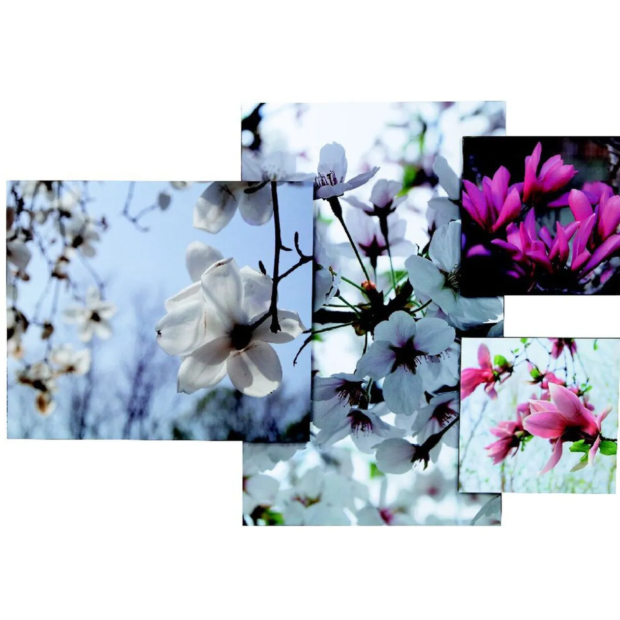 Tableau déco fleurs en relief