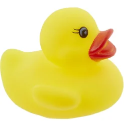 Valisette de 15 canards de bain